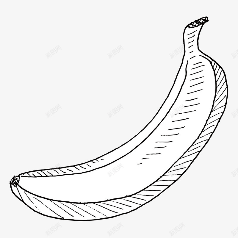 初夏水果香蕉矢量图图标ai_新图网 https://ixintu.com 初夏水果 卡通 合成 夏日 手绘 果实 水果设计 绿色食物水果 香蕉 矢量图