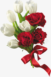 鲜艳白色红色的玫瑰花素材