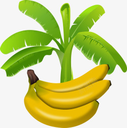 香蕉和橡胶树素材