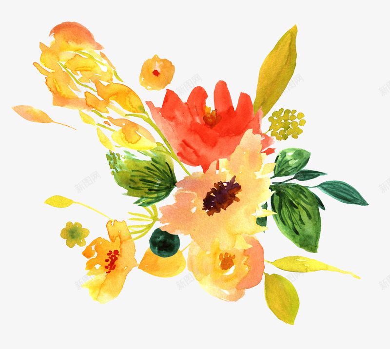 手绘水彩花卉装饰图案png免抠素材_新图网 https://ixintu.com PNG 手绘 水彩 花卉 装饰图案 鲜艳