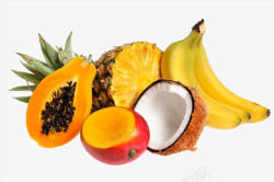 实物水果木瓜香蕉椰子等素材