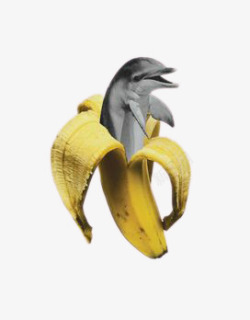 钻出香蕉中钻出来的海豚高清图片