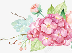 粉色中国风水彩花朵素材
