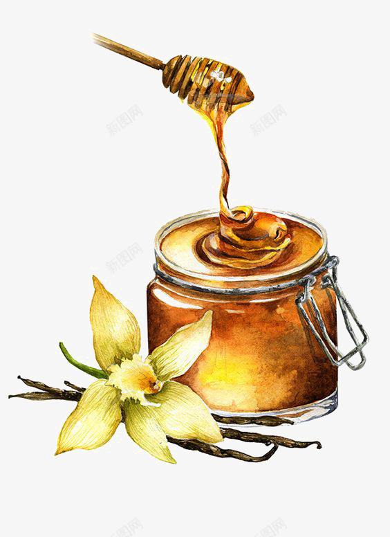 蜂蜜png免抠素材_新图网 https://ixintu.com 卡通蜂蜜 手绘蜂蜜 蜜罐子