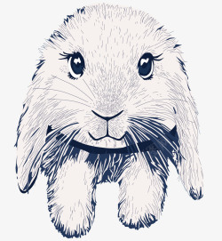 兔免扣PNG图手绘垂耳兔线稿图高清图片