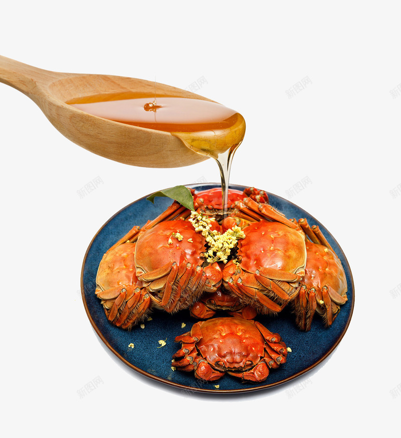 淋上蜂蜜的螃蟹png免抠素材_新图网 https://ixintu.com 勺子 盘子 蜂蜜 螃蟹