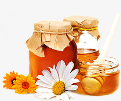 蜂蜜和花素材