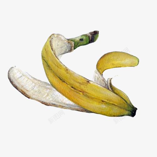香蕉皮手绘画片png免抠素材_新图网 https://ixintu.com 手绘色彩画 水果 水果垃圾 香蕉皮 黄色