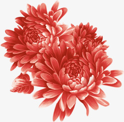 中秋节鲜艳红色花朵素材