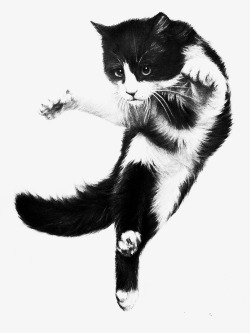 无颜色素描神气的猫咪形象高清图片