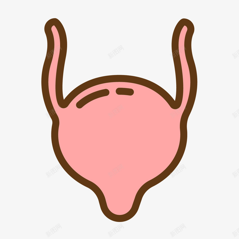 粉色手绘膀胱人体器官图标png_新图网 https://ixintu.com 人体 人体器官图标 器官 手绘 粉色 线稿 膀胱
