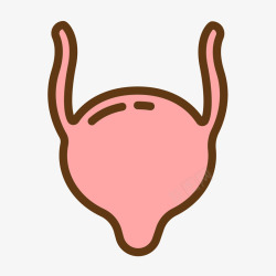 人体图线稿粉色手绘膀胱人体器官图标高清图片