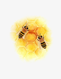 蜂窝和蜂蜜矢量插画手绘蜜蜂高清图片