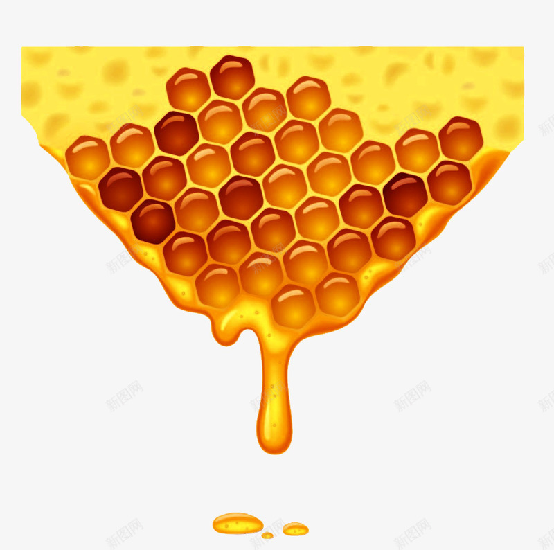 蜂蜜蜂窝png免抠素材_新图网 https://ixintu.com 卡通 甜食 蜂蜜矢量 蜜蜂 蜜蜂窝