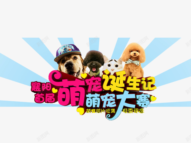 萌宠大赛海报png免抠素材_新图网 https://ixintu.com 动物 大赛 宠物 比赛 萌宠 诞生记