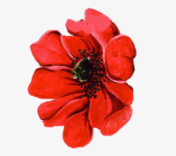 红色手绘鲜艳花朵素材