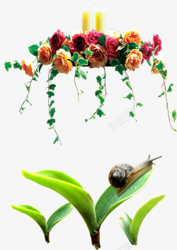 蜗牛新生原液花朵蜗牛花园装饰元素高清图片