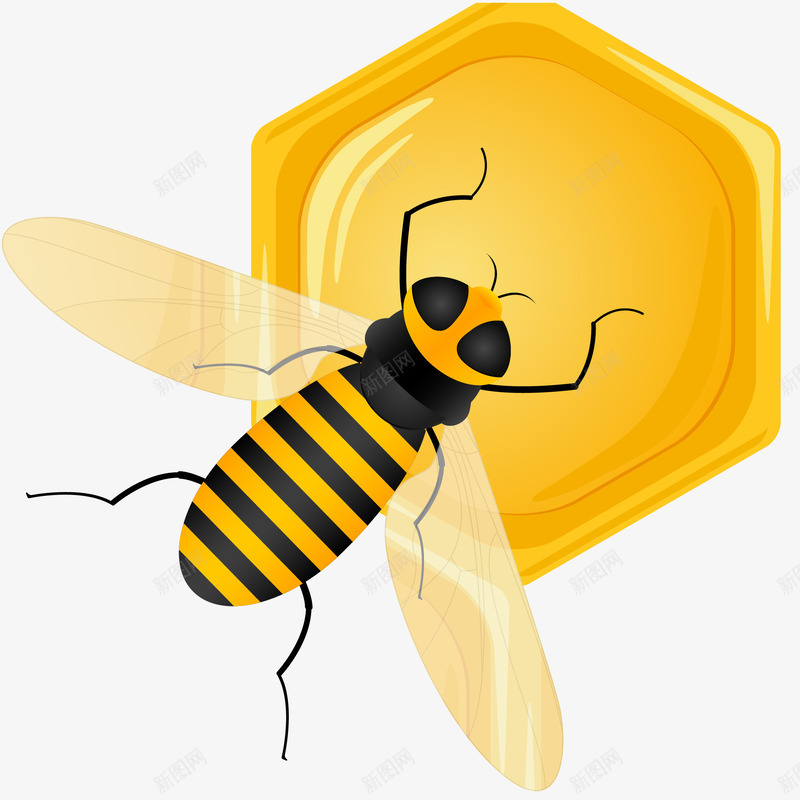 采蜂蜜的蜜蜂矢量图ai免抠素材_新图网 https://ixintu.com 手绘蜜蜂 蜜蜂免费png下载 蜜蜂矢量图 采蜂蜜的蜜蜂 矢量图