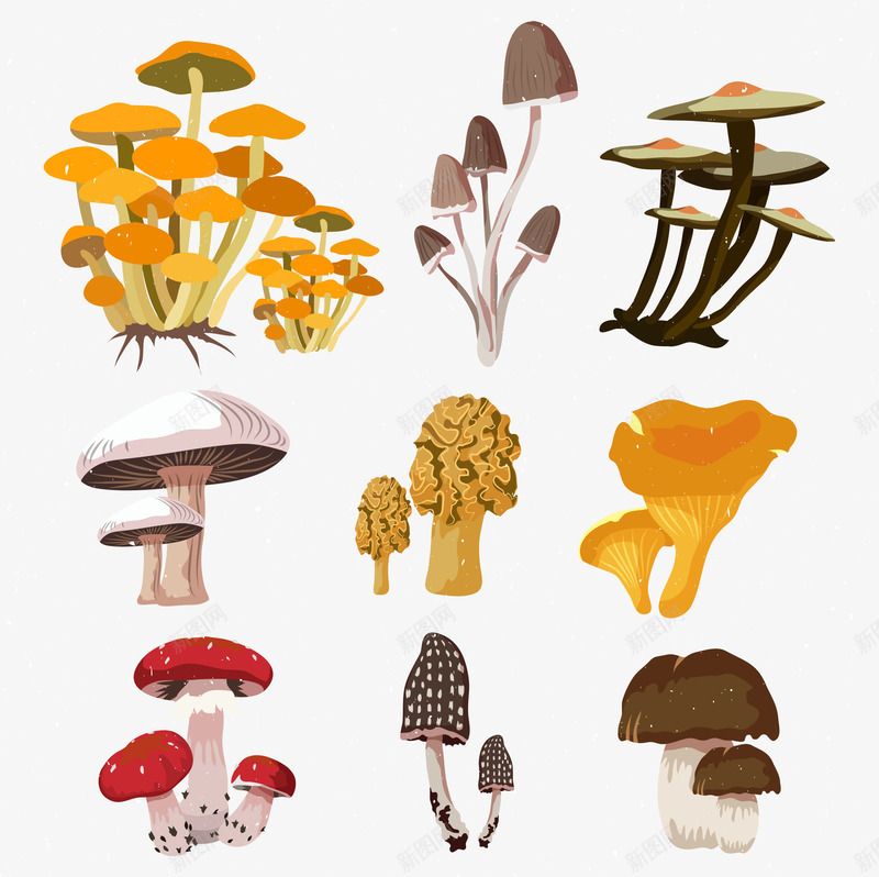蘑菇样式集合png免抠素材_新图网 https://ixintu.com 创意 斑点 特色蘑菇 红色蘑菇 蘑菇 颜色