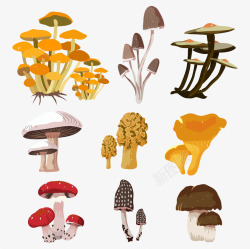 蘑菇样式集合素材