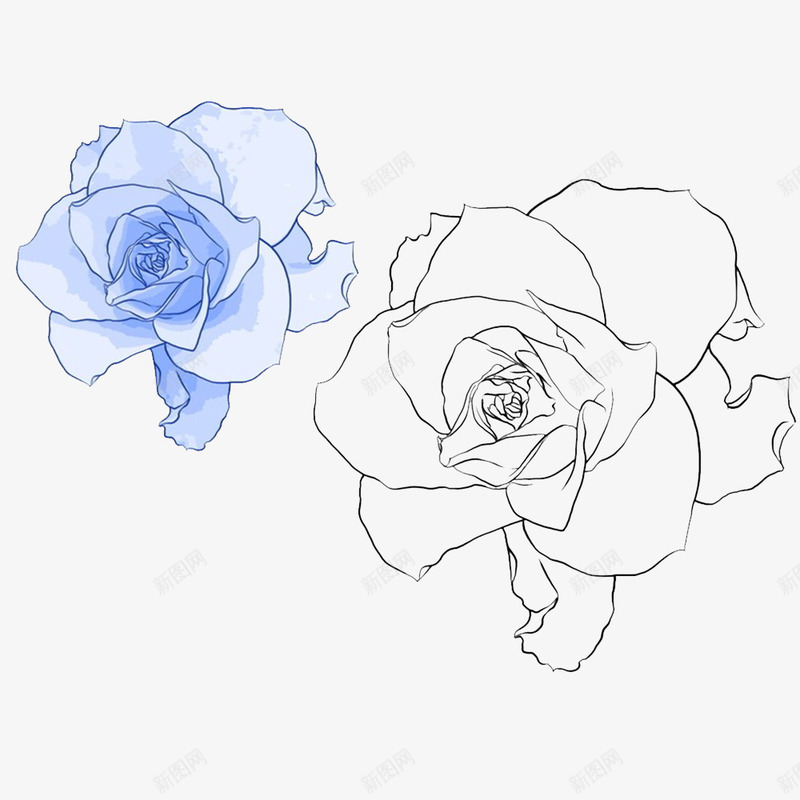 彩色的花png免抠素材_新图网 https://ixintu.com 3D玫瑰 一朵玫瑰花 一束玫瑰 粉红色 红色玫瑰 馥郁芬芳 鲜艳的玫瑰