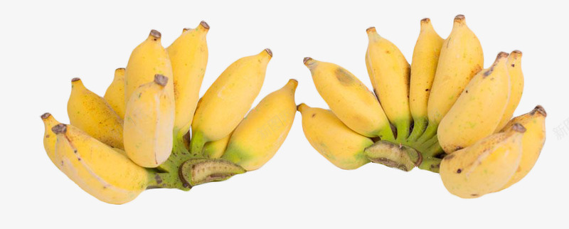 米蕉香蕉水果png免抠素材_新图网 https://ixintu.com 水果 米蕉 食物 香蕉