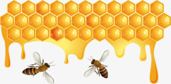 金黄色蜂巢素材