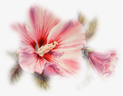 手绘红色花朵鲜艳花朵素材