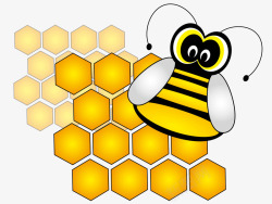 黑蜜蜂一只可爱的蜜蜂矢量图高清图片