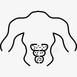 PrelumPrelum图标高清图片