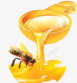 流出来的蜂蜜素材