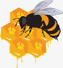 蜂房手绘金色图标蜂巢高清图片