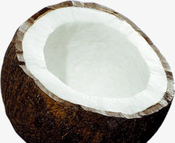 创意木头椰子椰肉素材
