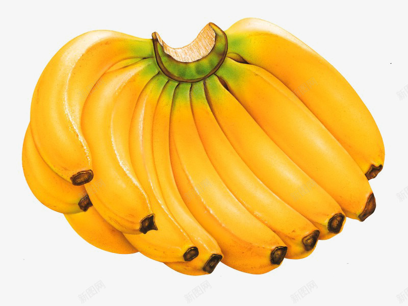 黄色香蕉香嫩可口png免抠素材_新图网 https://ixintu.com 可口 香嫩 香蕉 黄色