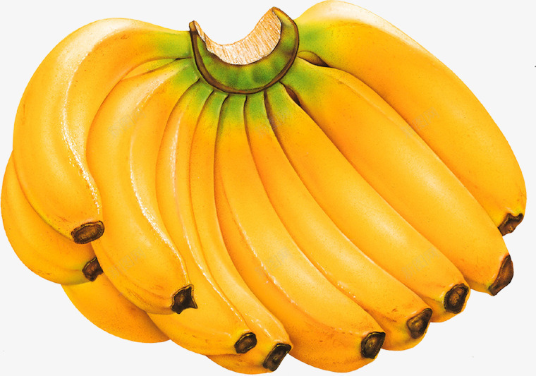 手绘黄色香蕉食物水果png免抠素材_新图网 https://ixintu.com 水果 食物 香蕉 黄色