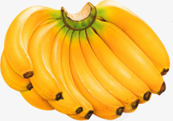 手绘黄色香蕉食物水果素材