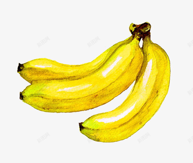 水彩手绘香蕉装饰图案png免抠素材_新图网 https://ixintu.com 免抠PNG 手绘 水彩 装饰图案 香蕉
