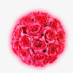 粉色玫瑰鲜艳浪漫素材