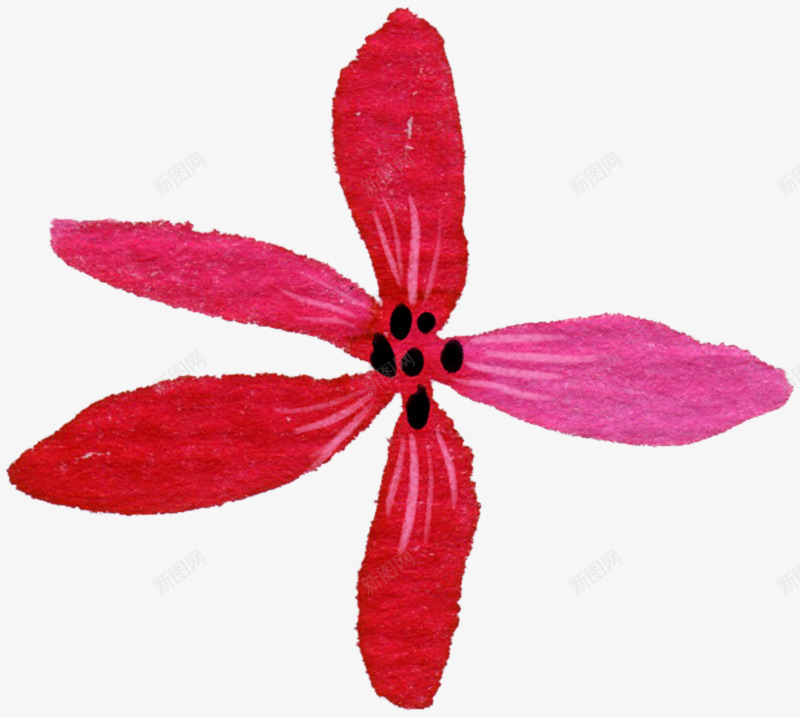 鲜艳红色五瓣花朵png免抠素材_新图网 https://ixintu.com 红色 花朵 设计 鲜艳