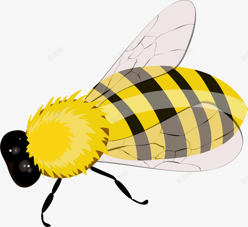 黄色卡通蜜蜂png免抠素材_新图网 https://ixintu.com 可爱蜜蜂 昆虫 花园蜜蜂 虫子 蜂蜜 装饰图案 黄色蜜蜂
