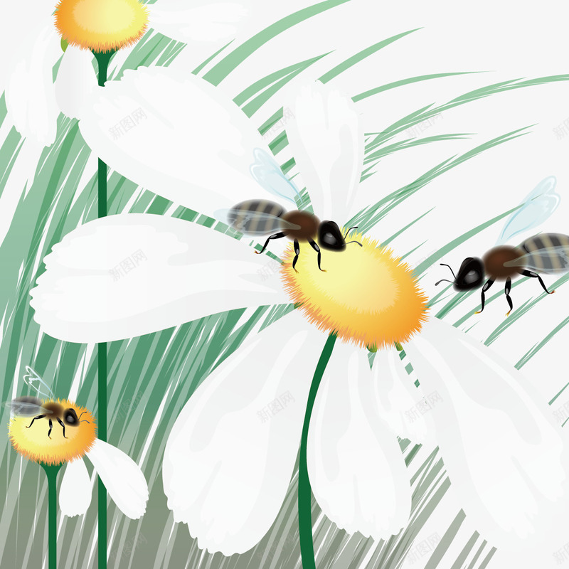 采蜜蜂蜜png免抠素材_新图网 https://ixintu.com png素材免费下载 海报素材 花丛 采蜜