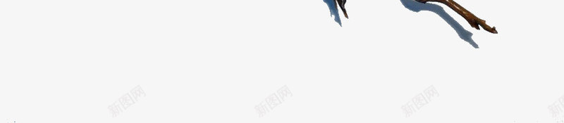 木藤画框png免抠素材_新图网 https://ixintu.com 木头 木枝 木藤 画框