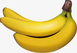 写实香蕉矢量图素材
