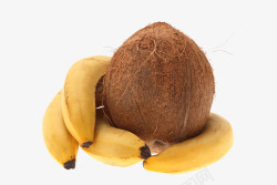 椰子香蕉素材