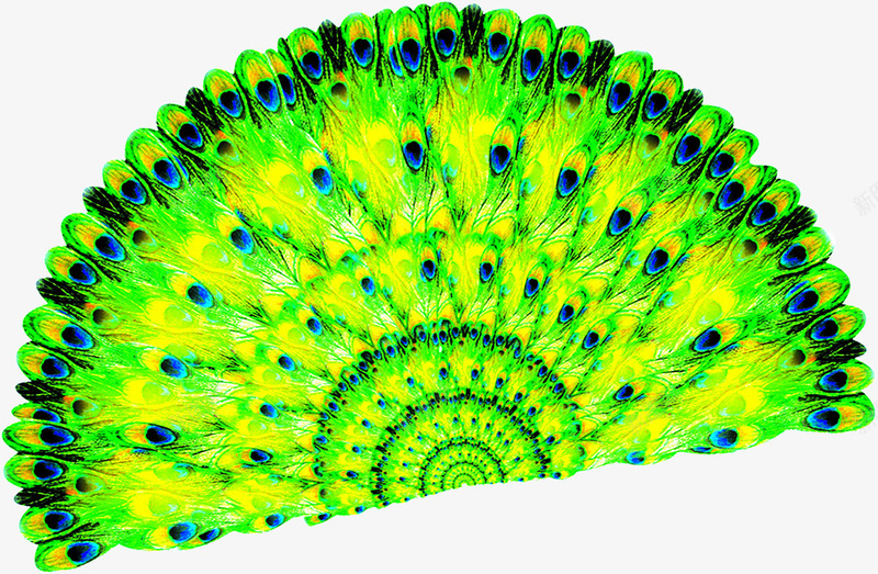 合成效果鲜艳艳丽的孔雀尾巴png免抠素材_新图网 https://ixintu.com 合成 孔雀 尾巴 效果 艳丽 鲜艳