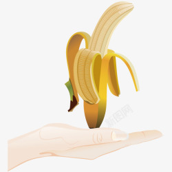 剥开的香蕉素材