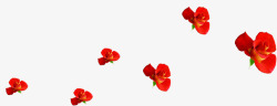 红色鲜艳花朵玫瑰装饰素材