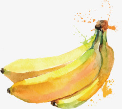 水彩香蕉矢量图素材