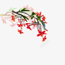 新春装饰花朵元素素材