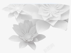 白色折纸花朵素材